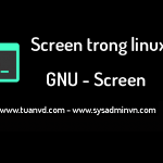 su dung lenh Screen trong linux
